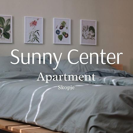 Sunny Center Apartment スコピエ エクステリア 写真