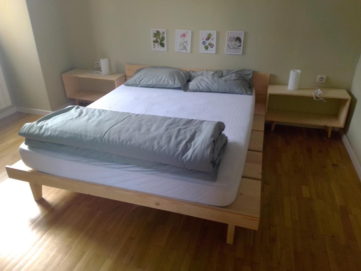 Sunny Center Apartment スコピエ エクステリア 写真