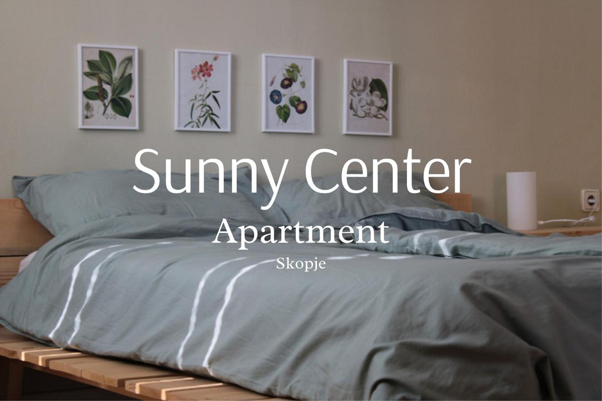 Sunny Center Apartment スコピエ エクステリア 写真